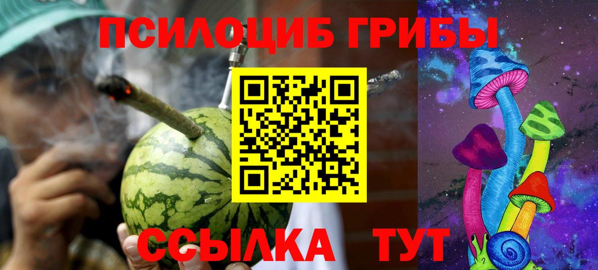 Псилоцибиновые грибы Psilocybe  Вход с VPN  Скопин 