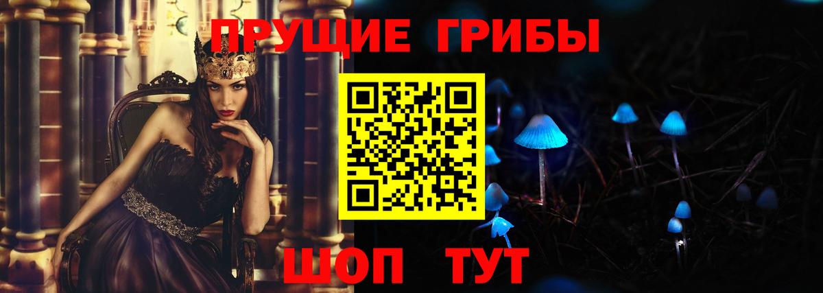 Галлюциногенные грибы Psilocybine cubensis Скопин